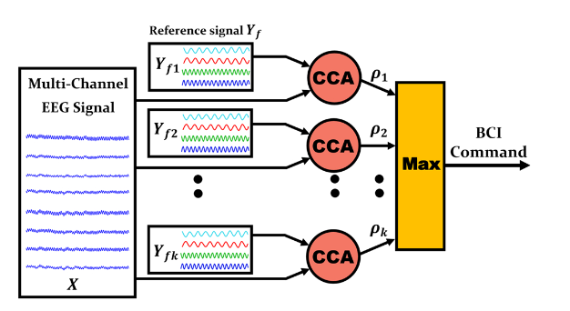 Multi-channel EEG signal analysis using CCA